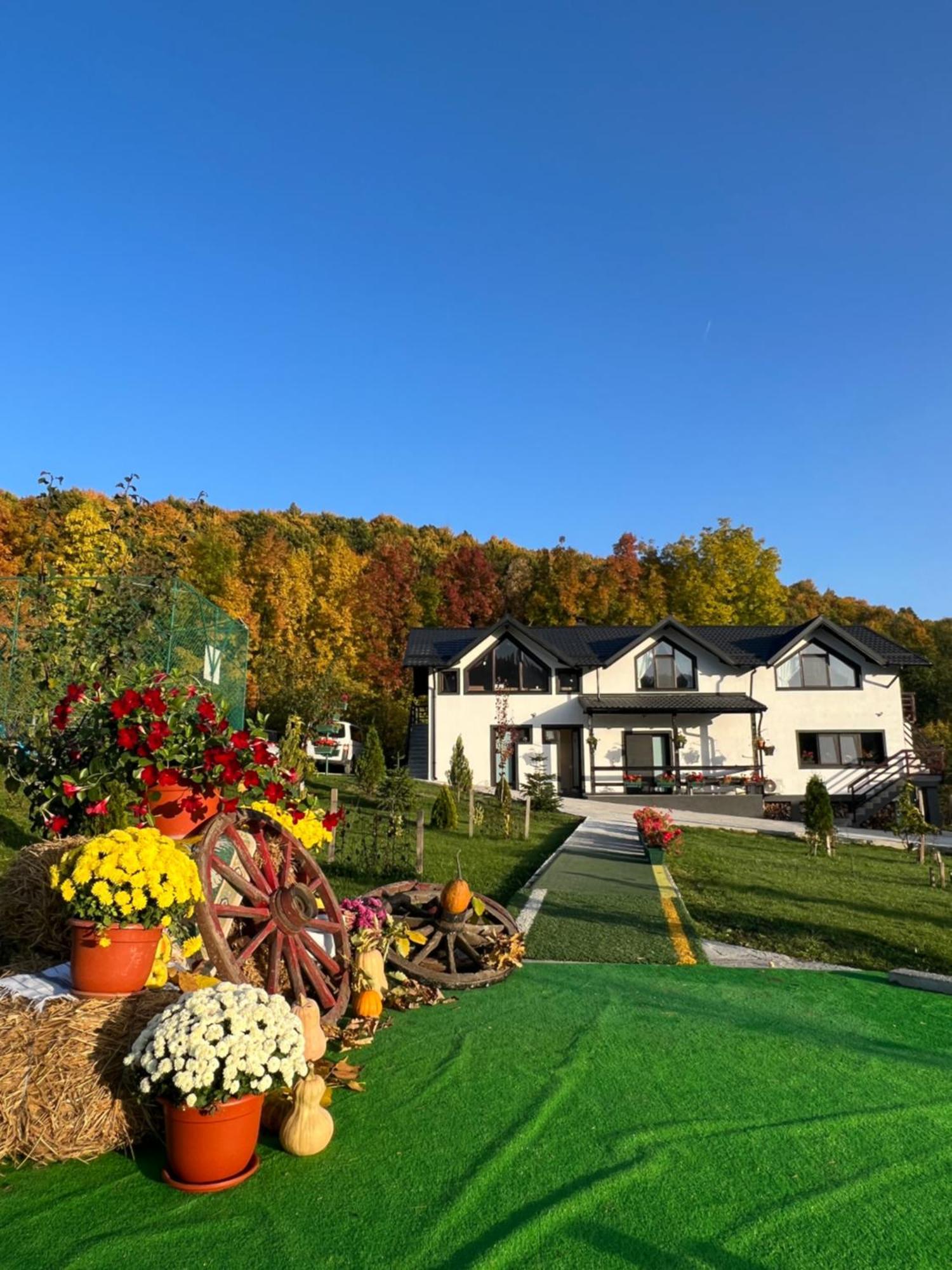 Hanul Doctorului Badeni-Runcu Vila 2 Villa Fieni Dış mekan fotoğraf