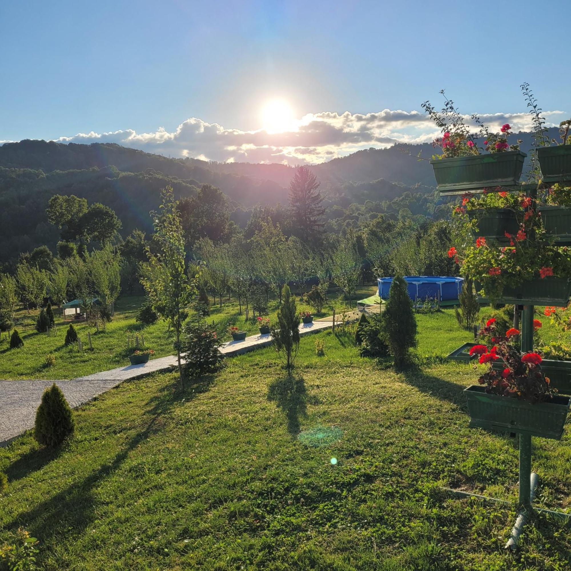 Hanul Doctorului Badeni-Runcu Vila 2 Villa Fieni Dış mekan fotoğraf